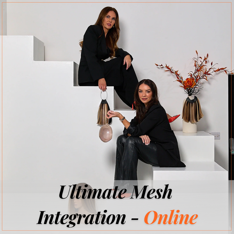 Ultimate Mesh Integration Online