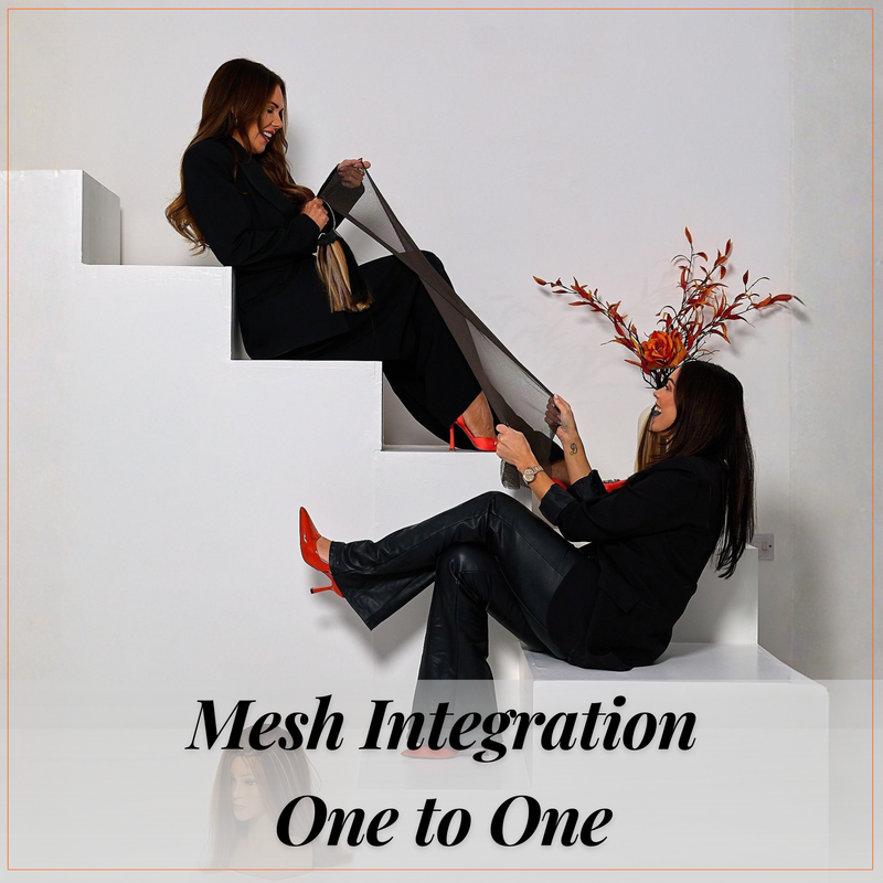 Mesh Integration One to One