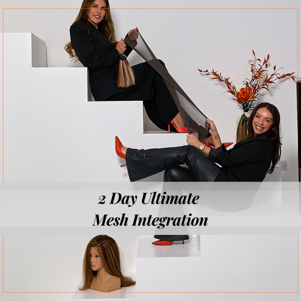 2 Day Ultimate Mesh Integration Training